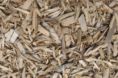 biomass boilers Coed Y Caerau