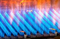 Coed Y Caerau gas fired boilers